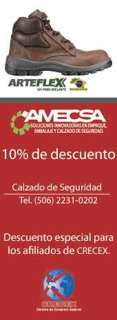 AMECSA SOLUCIONES INNOVADORAS EN EMPAQUE, EMBALAJE Y CALZADO DE SEGURIDAD